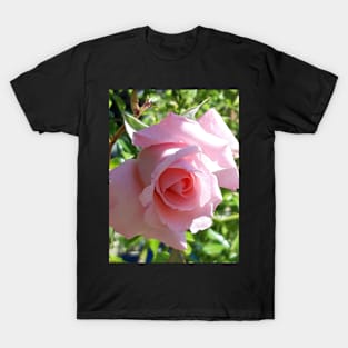 Pink Rose T-Shirt